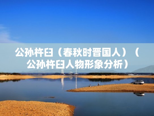 公孙杵臼（春秋时晋国人）（公孙杵臼人物形象分析）