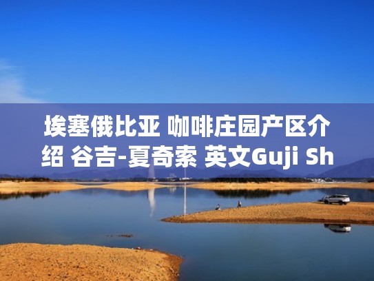 埃塞俄比亚 咖啡庄园产区介绍 谷吉-夏奇索 英文Guji Shakisso（埃塞俄比亚著名咖啡）
