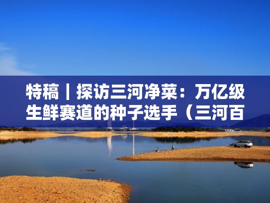 特稿|探访三河净菜:万亿级生鲜赛道的种子选手(三河百科) 特稿|探访三河净菜:万亿级生鲜赛道的种子选手(三河百科)