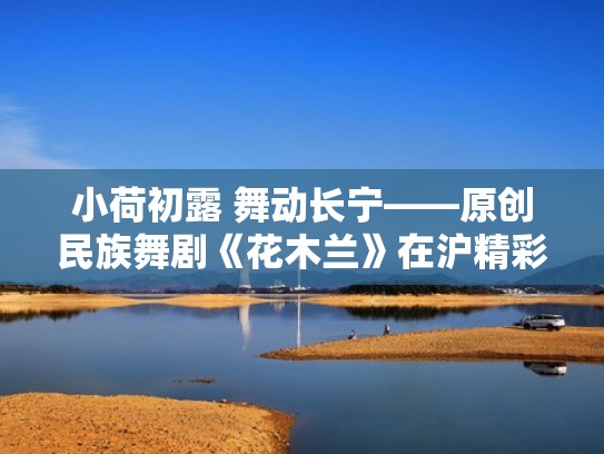 小荷初露 舞动长宁——原创民族舞剧《花木兰》在沪精彩上演（古典舞花木兰）