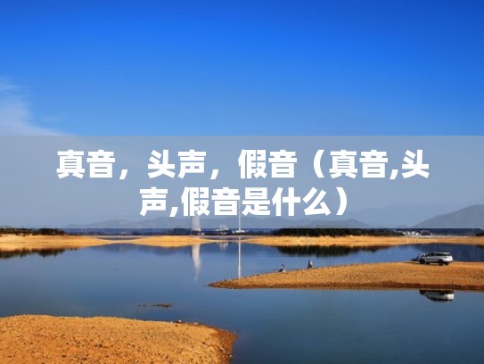 真音，头声，假音（真音,头声,假音是什么）