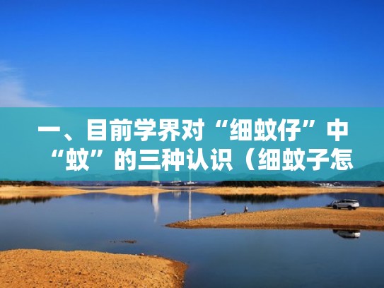 一、目前学界对“细蚊仔”中“蚊”的三种认识（细蚊子怎么赶走）