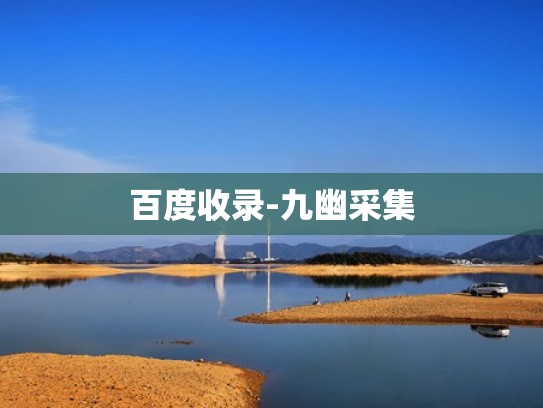 百度收录-九幽采集