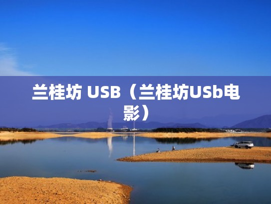 兰桂坊 USB（兰桂坊USb电影）