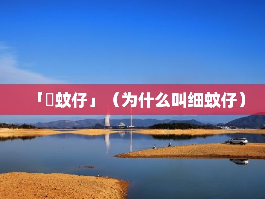 「細蚊仔」（为什么叫细蚊仔）