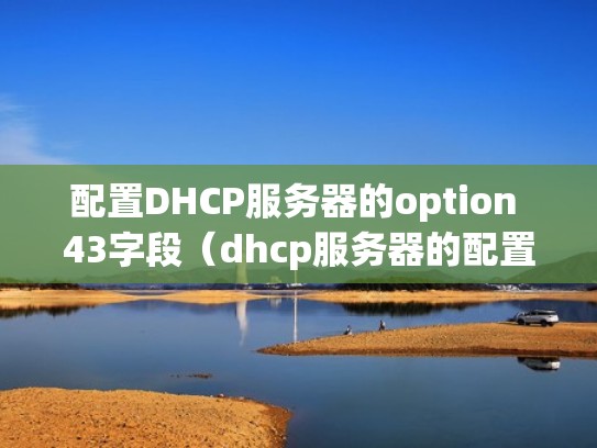 配置DHCP服务器的option 43字段（dhcp服务器的配置文件是）