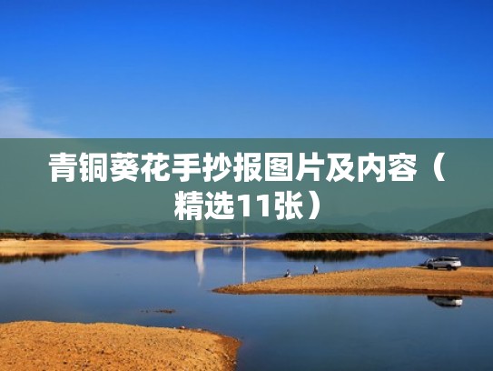 青铜葵花手抄报图片及内容（精选11张）