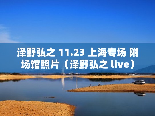 泽野弘之 11.23 上海专场 附场馆照片（泽野弘之 live）
