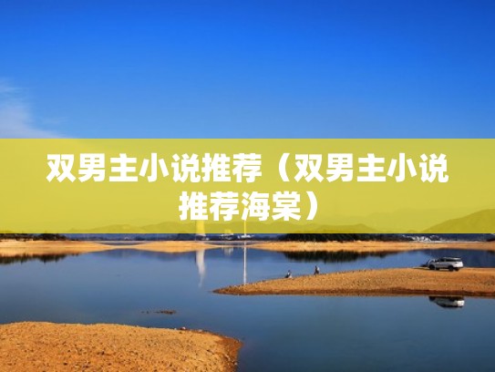双男主小说推荐（双男主小说推荐海棠）