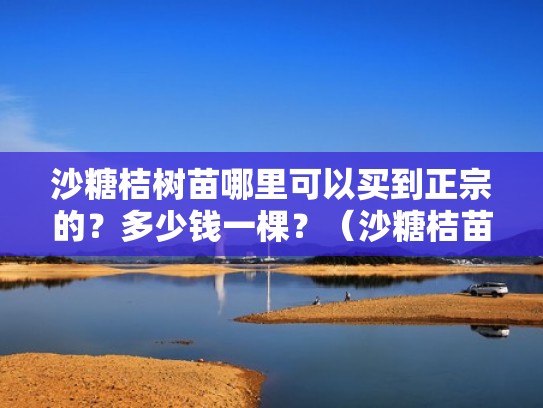沙糖桔树苗哪里可以买到正宗的？多少钱一棵？（沙糖桔苗哪里有的卖）