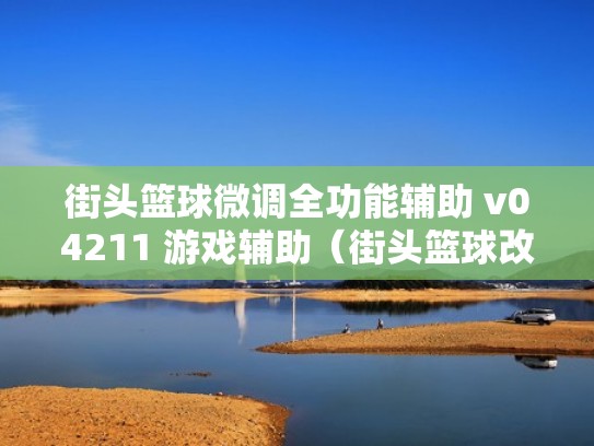 街头篮球微调全功能辅助 v04211 游戏辅助(街头篮球改能力辅助) 街头篮球微调全功能辅助 v04211 游戏辅助(街头篮球改能力辅助)