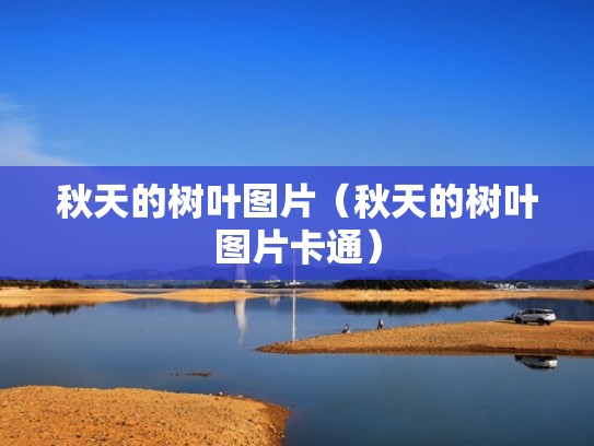 秋天的树叶图片（秋天的树叶图片卡通）