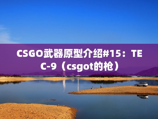 CSGO武器原型介绍#15：TEC-9（csgot的枪）