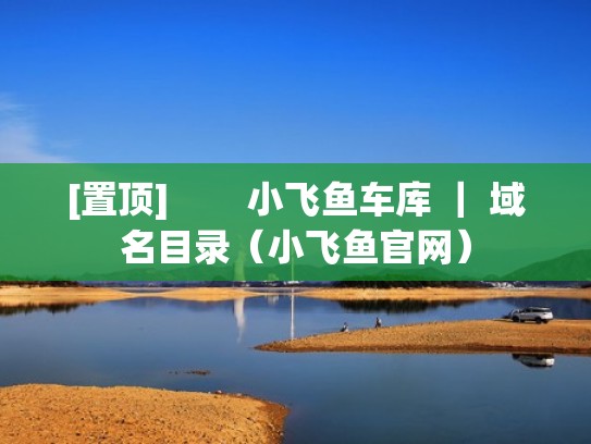 [置顶]        小飞鱼车库 ｜ 域名目录（小飞鱼官网）