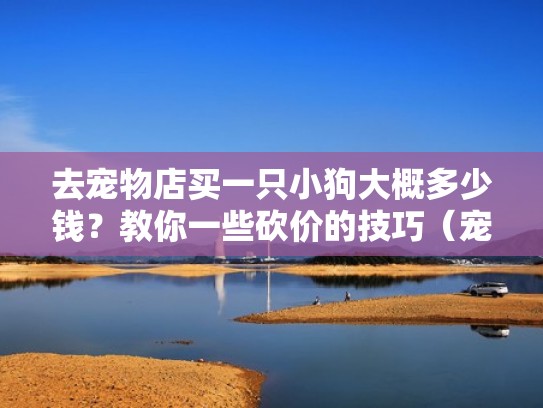 去宠物店买一只小狗大概多少钱?教你一些砍价的技巧(宠物店买条狗大概多少钱) 去宠物店买一只小狗大概多少钱?教你一些砍价的技巧(宠物店买条狗大概多少钱)