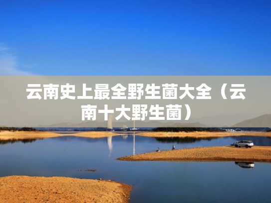 云南史上最全野生菌大全(云南十大野生菌) 云南史上最全野生菌大全(云南十大野生菌)