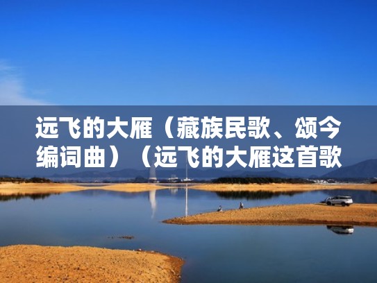 远飞的大雁（藏族民歌、颂今编词曲）（远飞的大雁这首歌）