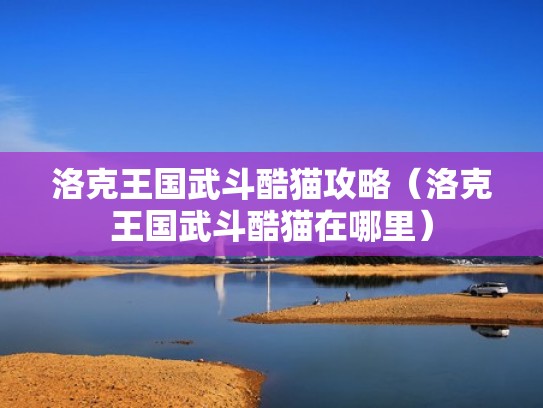 洛克王国武斗酷猫攻略（洛克王国武斗酷猫在哪里）