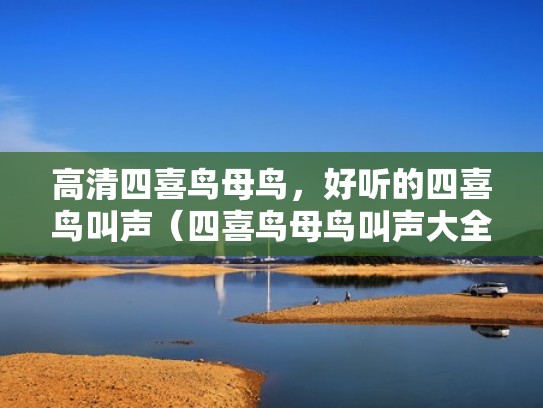 高清四喜鸟母鸟，好听的四喜鸟叫声（四喜鸟母鸟叫声大全）