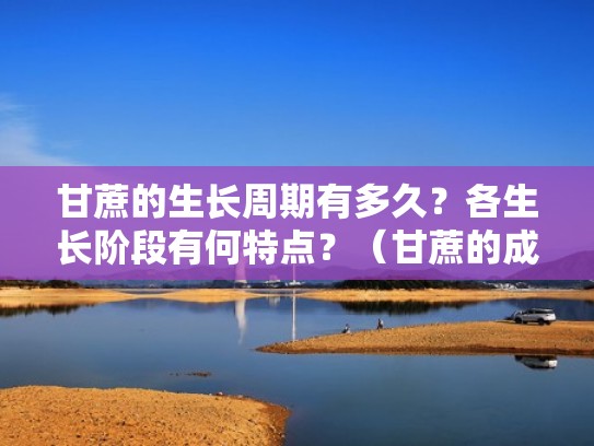 甘蔗的生长周期有多久？各生长阶段有何特点？（甘蔗的成长期）