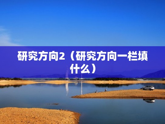 研究方向2（研究方向一栏填什么）