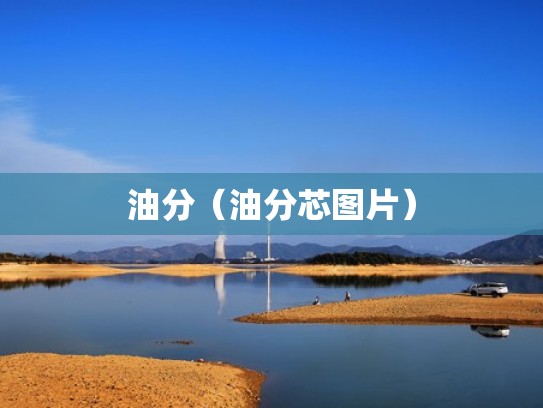 油分（油分芯图片）