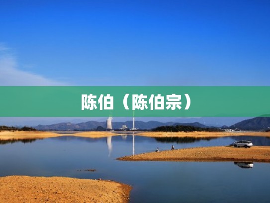 陈伯（陈伯宗）