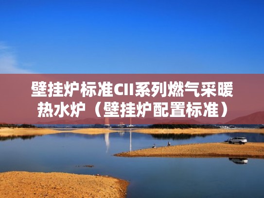 壁挂炉标准CII系列燃气采暖热水炉（壁挂炉配置标准）