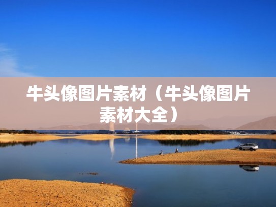 牛头像图片素材（牛头像图片素材大全）