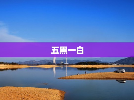 五黑一白