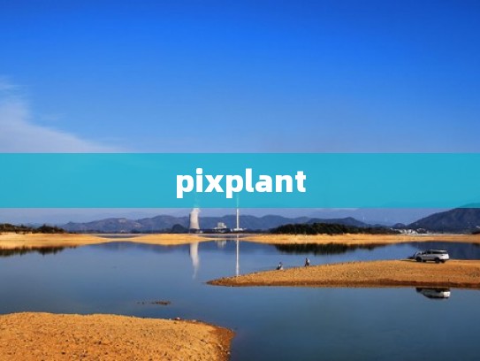 pixplant