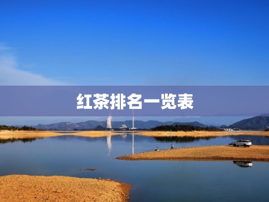 红茶排名一览表