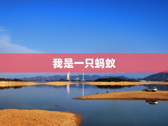 我是一只蚂蚁