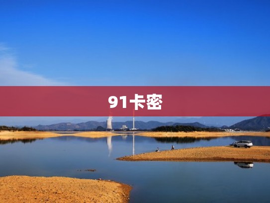 91卡密