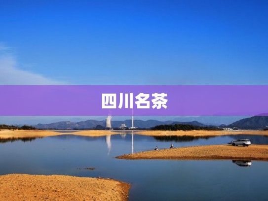 四川名茶