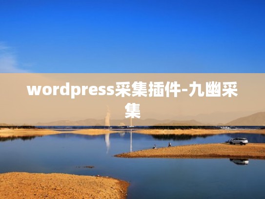 wordpress采集插件-九幽采集