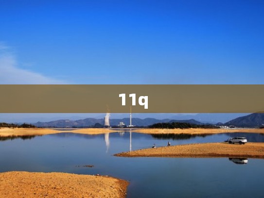 11q