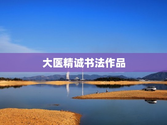 大医精诚书法作品