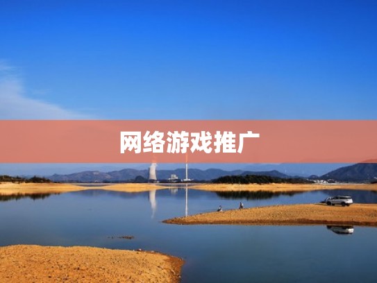 网络游戏推广