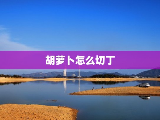 胡萝卜怎么切丁