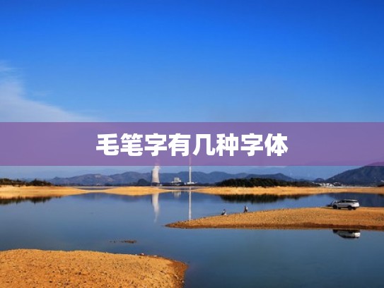 毛笔字有几种字体
