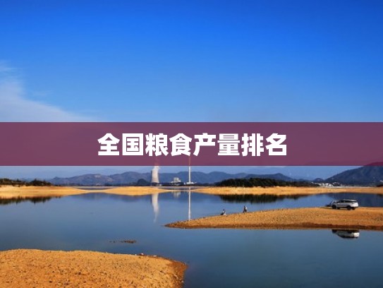 全国粮食产量排名