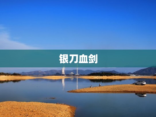 银刀血剑