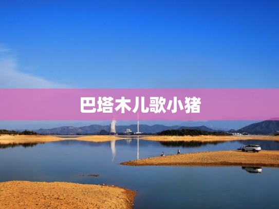 巴塔木儿歌小猪