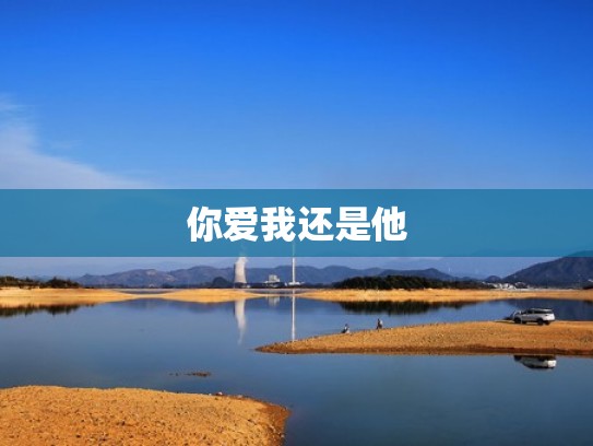 你爱我还是他