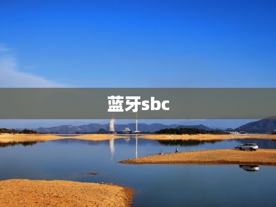 蓝牙sbc