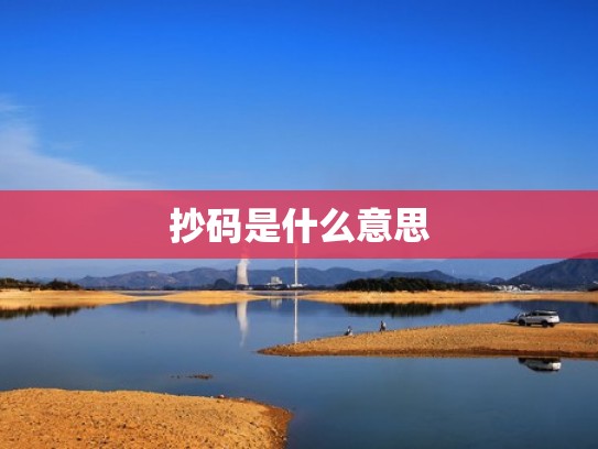 抄码是什么意思