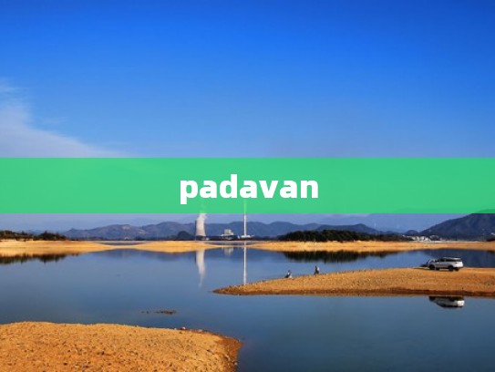 padavan