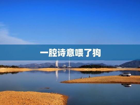 一腔诗意喂了狗