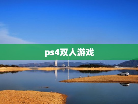 ps4双人游戏